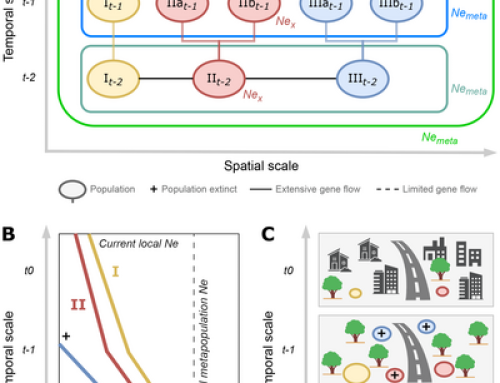 Dealing With the Complexity of Effective Population Size in Conservation Practice