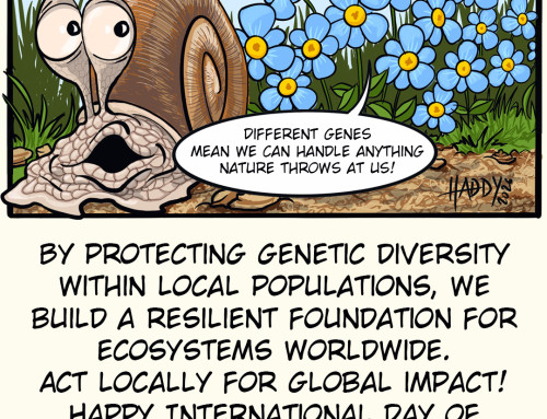 Acting locally for global impact