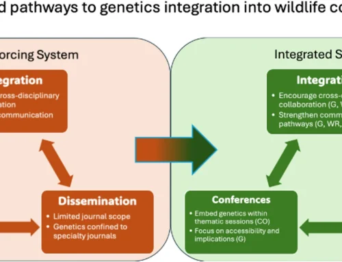 Should we put ‘genetics’ into the title of our paper in wildlife biology?